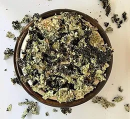 Chounk Black Stone Flower Spice - 100g | Pathar/Patthar ke Phool Spice | Dagad Phool, Kalpasi | For Flavourful Cooking