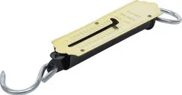 Fish Brand High Quality 50Kg Scale Pocket Balance Hanging Spring Balance Fishing Hook Scale Balance Weighing Scale Heavy Duty Portable Kitchen Luggage