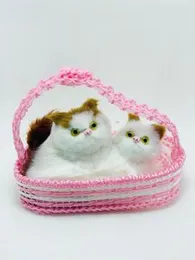 Plush Cat Toys with Cat Sound â Soft & Interactive Pet Toy