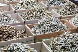 Sparts / dry fish 500g