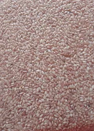 Organic Red Kakulu Rice 2kg