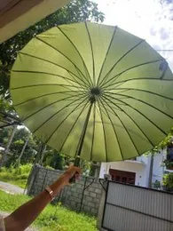 Japan umbrella.