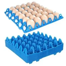 Heavy-Duty Plastic Egg Tray â 30-Egg Capacity (29x29 cm) egg holder