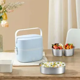 Portable Lunch Box with Auto Power Off, 1L Rice Cooker for Office Dormitory, 2 Layers Leakproof Lunch Boxes, Liner, Food Warmer