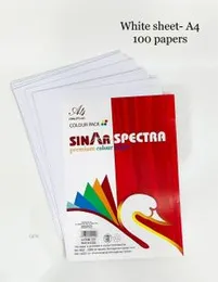 A4 White Sheets - 100 Papers