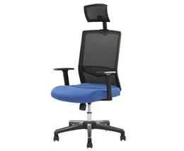 Piyestra Neo High Back Chair Swing