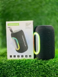 Hopestar P65 Portable Wireless Bluetooth Speaker.