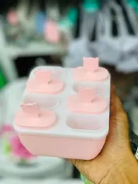Ice Popsicle Maker â Plastic Container Mold with Sticks (6 Pops)