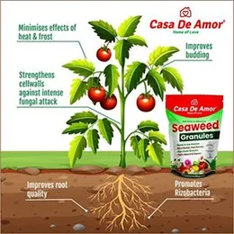 Casa De Amor Seaweed Granules Organic Fertilizer, Plant Growth Promoter & Bio-Stimulant, Suitable For All Types of Plants (250 gm) (FROM INDIA)NUZ
