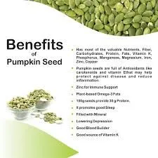 Pumpkin Seeds (100g)