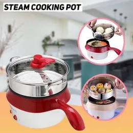 Steam Cooking Pot (P00558)