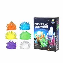 Crystal Growing Kit - DIY Educational Science Experiment STEM Exciting & Enriching Science Kit for Kids Boys Girls & Adults