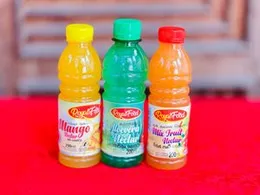 royal food mango nectar 200ml