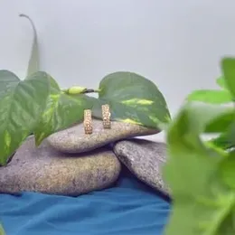 Golden Brass rectangle white stone stud earing.