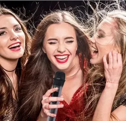 Professional Wired Microphone for Recording and Performance