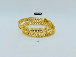 Imitation 2-Piece Bangle Set â Elegant & Stylish