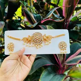 Gold Color Nakshatra Mini Choker Necklace with Couple Peacock Design, White Stones & Pearl Drops for Women & Girls