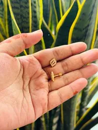 Gold Plated Leaf Design Small Stud Earrings with White Stone for Women & Girls