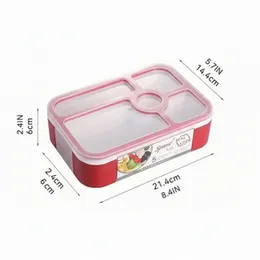 2 layer Large Capacity Lunch Box