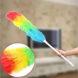 Colorful Feather Duster