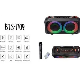 BTS - 1709 DYNAMIC Clean & Big Sound Party Box Outdoor With Wireless Mic