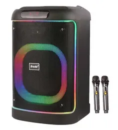Brodu BTS-2103 Bluetooth Karaoke Speaker with 8-Inch Subwoofer, party box, Dual Wireless Microphones, RGB Flame Light & Multiple Audio Inputs