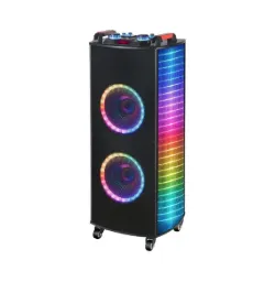 NDR-1010S Wireless Bluetooth Karaoke Speaker with Dual 10â³ Woofers, LED Lights & 2 Wireless Mics