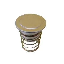 Singer Rice Cooker Buzzer