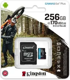 Kingston Canvas Go Plus 256GB microSD memory card with an SD adapter