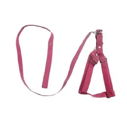 Heavy Duty Dog Puppy Harness with Leash for Small-Medium-Large Breed Standard Quality Nylon Harness