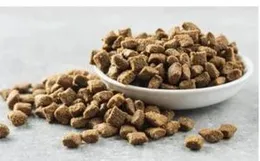 Petro Adult Dog Food 395g Chicken Flavor l Petro Adult Dog Food l Petro Dogfood