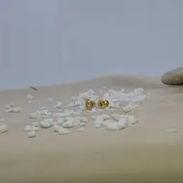 Gold Plated Heart White Stone  Earring.