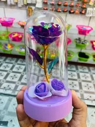 Birthday Light-Up Rose Dome Gift with LED Light â Elegant Romantic Surprise