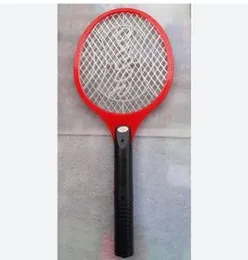 Mosquito Bat Gecko (P02587)