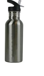 600ml Stainless Steel Water Bottle, Silver, Straw Top