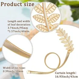 HASTHIP® 2 Pack Curtain Tiebacks Curtain Holdbacks Adjustable Decorative Alloy Curtain Straps Curtain Clip Buckle (Gold)