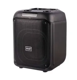 Brodu BTS-2107 Bluetooth Karaoke Speaker with 8-Inch Speaker, Wireless Microphone, RGB Party Lights & Multiple Input Options