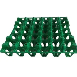 30Pcs Plastic Egg Tray