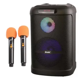 Brodu BTS-2101 Portable Bluetooth Karaoke Speaker with 8-Inch Speaker, Dual Wireless Microphones, RGB LED Lights & Multiple Inputs