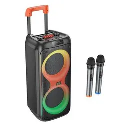 Portable Speaker With Dual Mic