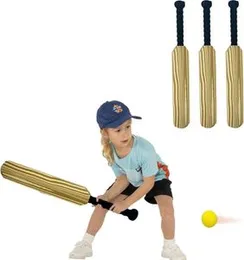soft cricket set