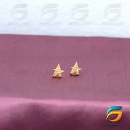 Gold Plated Earring Star Earrings With Stone For Women.