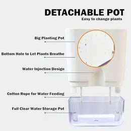 Casa De Amor Self Watering Pots for Indoor Plants | Home Decor, Living Room, Kitchen, Bedroom, Table Top, Office, Gifting | Plants not Included (White