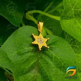 Gold Plated Stare Pendant Guarantee Fashion and Stylish Design for Women