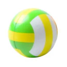 Training Ball Toy