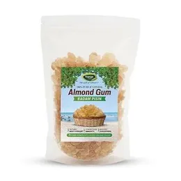 Thanjai Natural Almond Gum 250 Grams Badam Pisin Badam Gum Best First Quality Pure, Natural