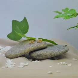 Gold Plated Stylish Design Beauty Stone Stud Earrings For Women.