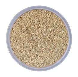 Premium Canary Seed for Birds Natural Canary Bird Seed Bird Food Natural & Nutrient-Rich Bird Food