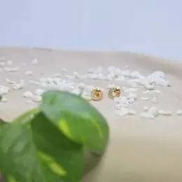 Gold Plated Round With Stone Beauty Fashion Earing.