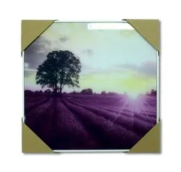 40×40 Framed Print-Landscapes (LINO825)